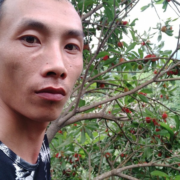 砖头的孤独的照片