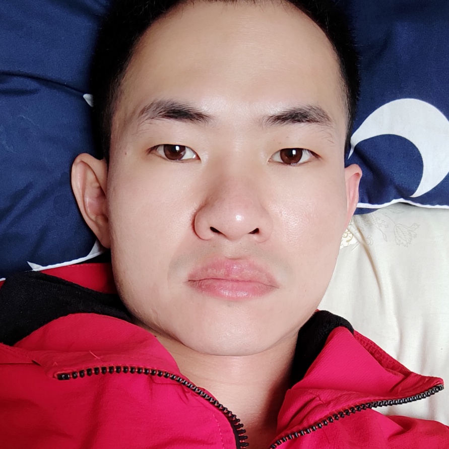 善良兔子的照片