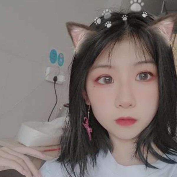 犀牛有矮小的照片