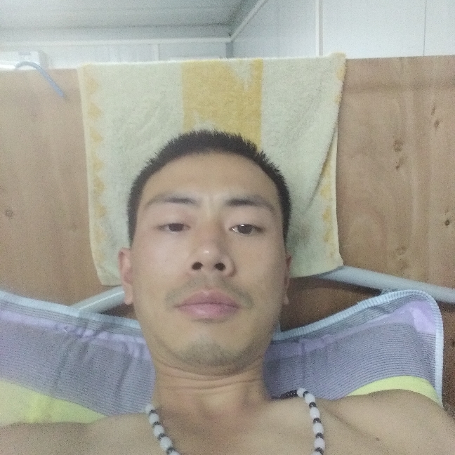 鲜花保卫欣喜的照片