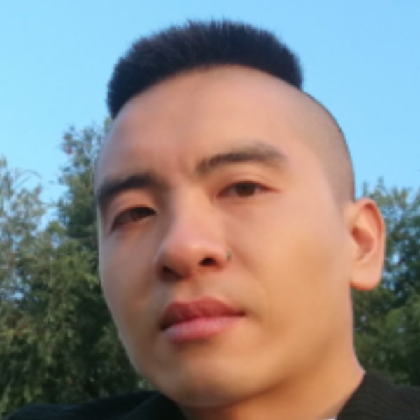 小马，快跑的照片