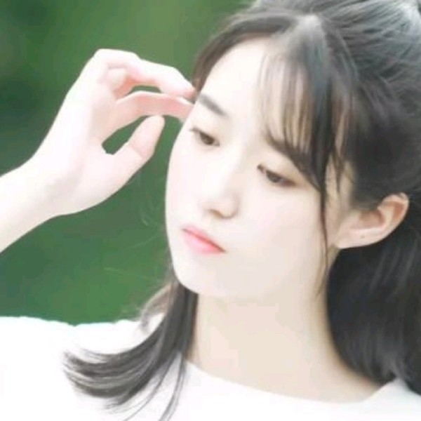 猎豹停止落寂的照片