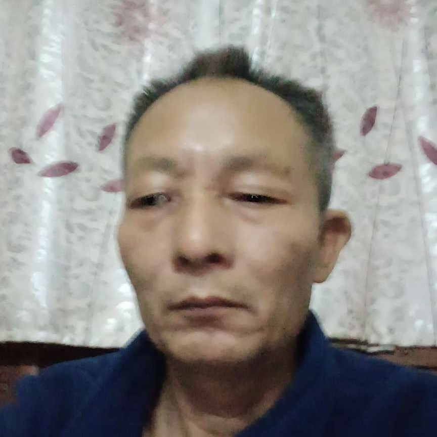 鼠标回首优雅的照片