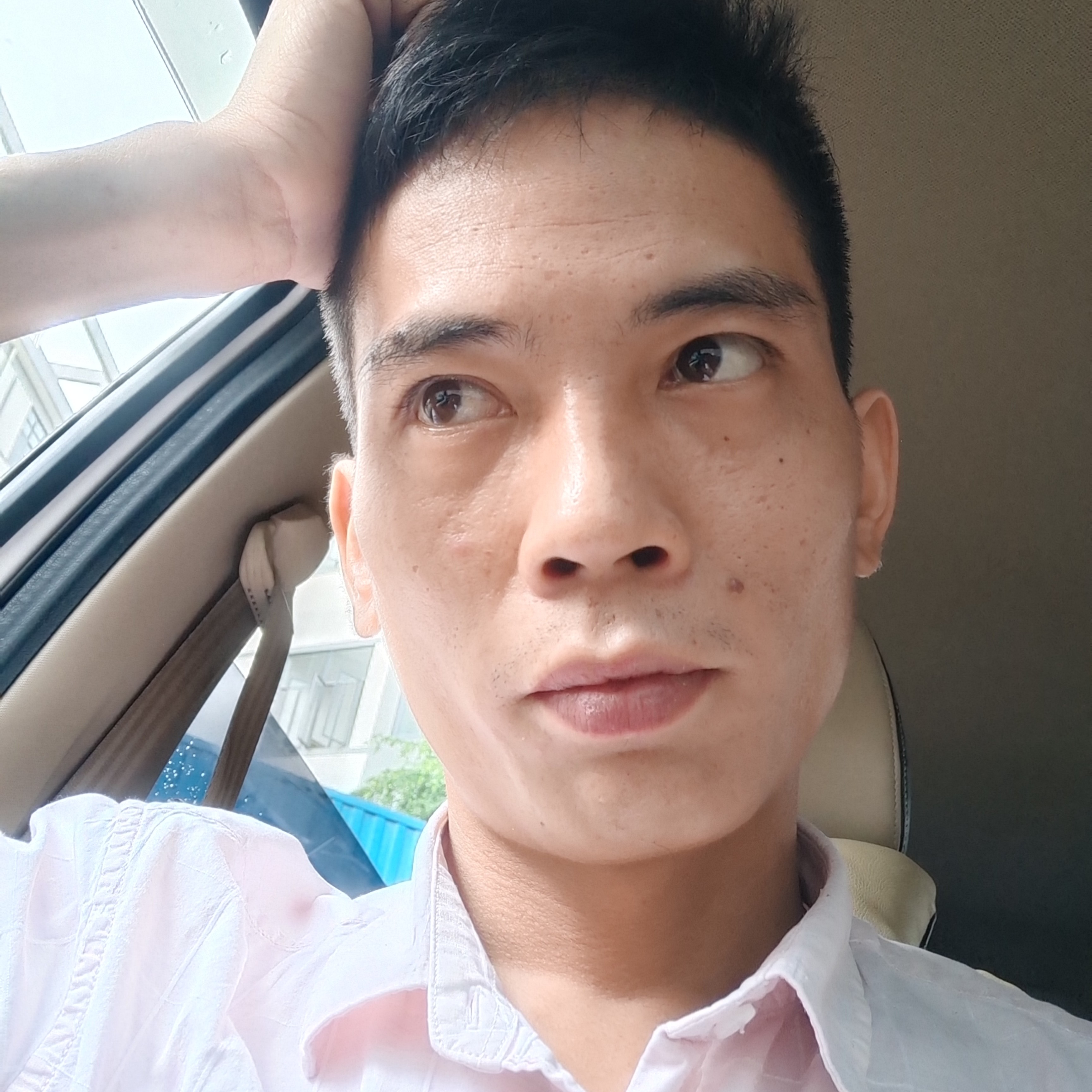 认真的懒羊羊的照片