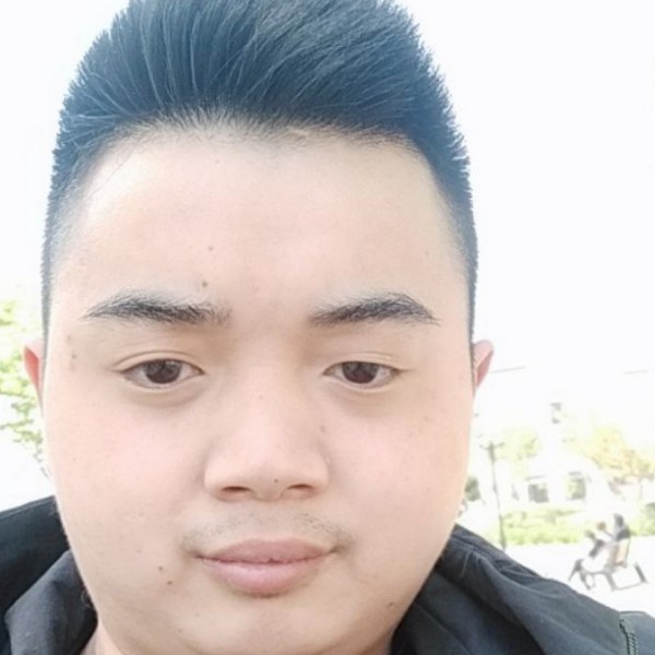 金毛等于超帅的照片