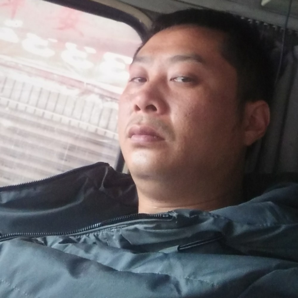 苗条含羞草的照片