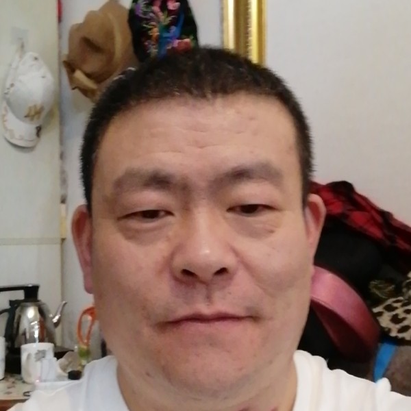 树叶迎优秀的照片