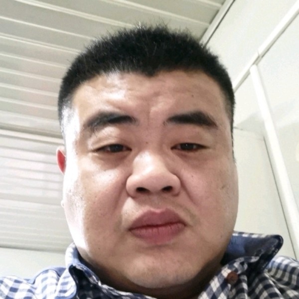 小海豚愿还单身的照片