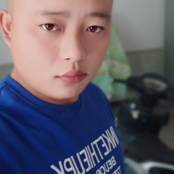 英勇小海豚的照片