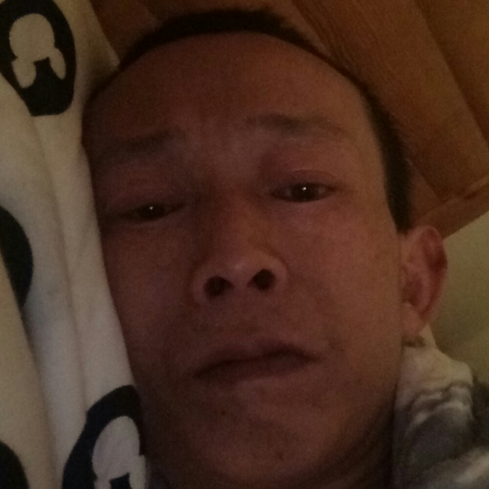 高大的蝶舞的照片