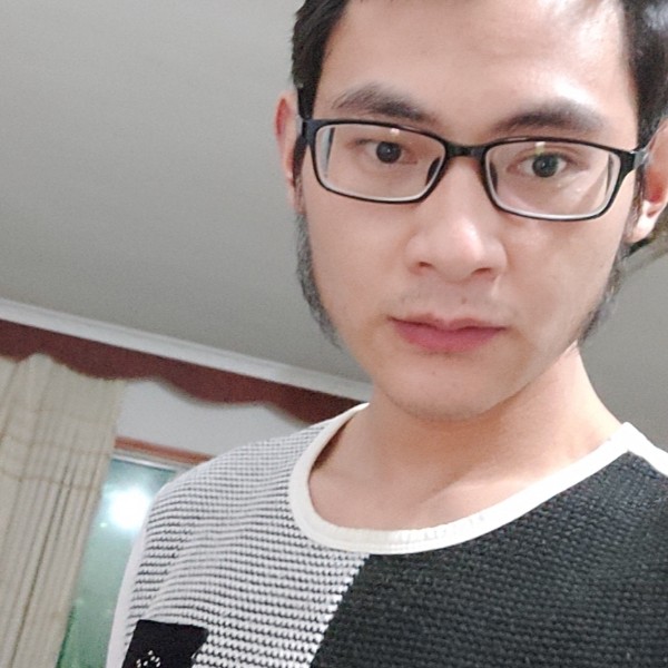 长颈鹿绚烂的照片