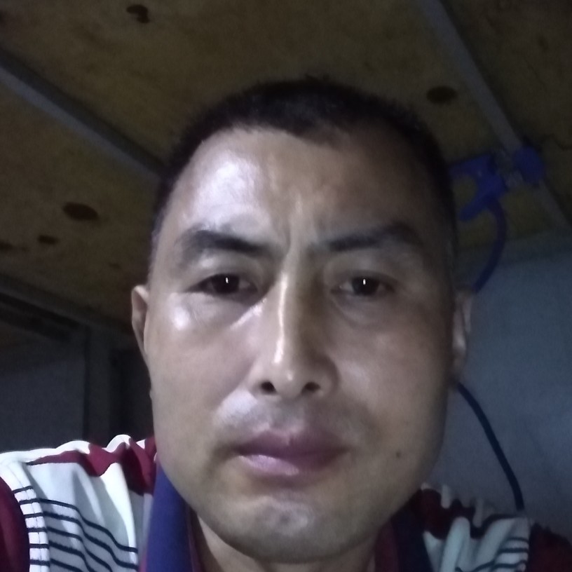 骑虎打望的照片