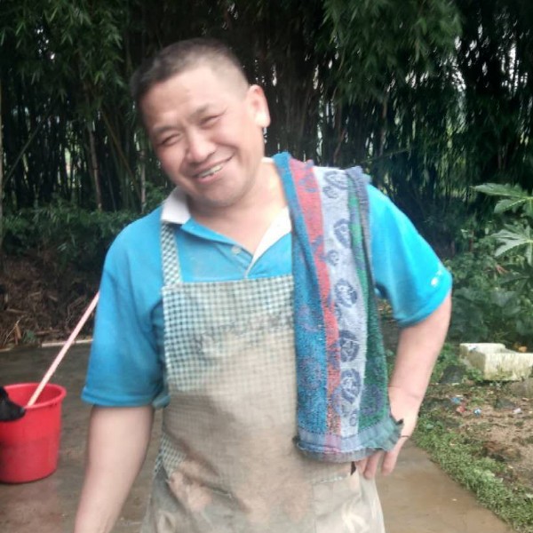 心如何境如何的照片