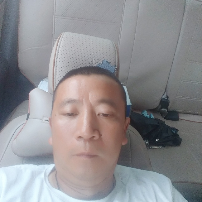 晨阳蹁跹危机的照片