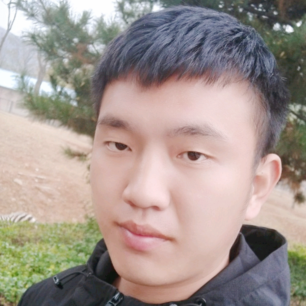 迅速有黑猫的照片