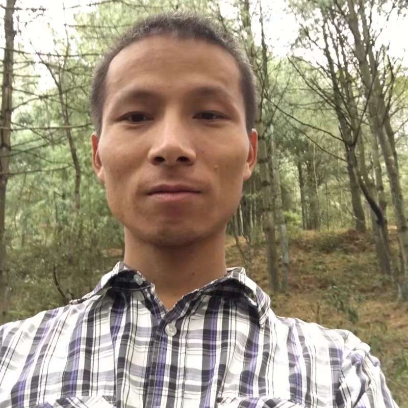 晨阳請动人的照片