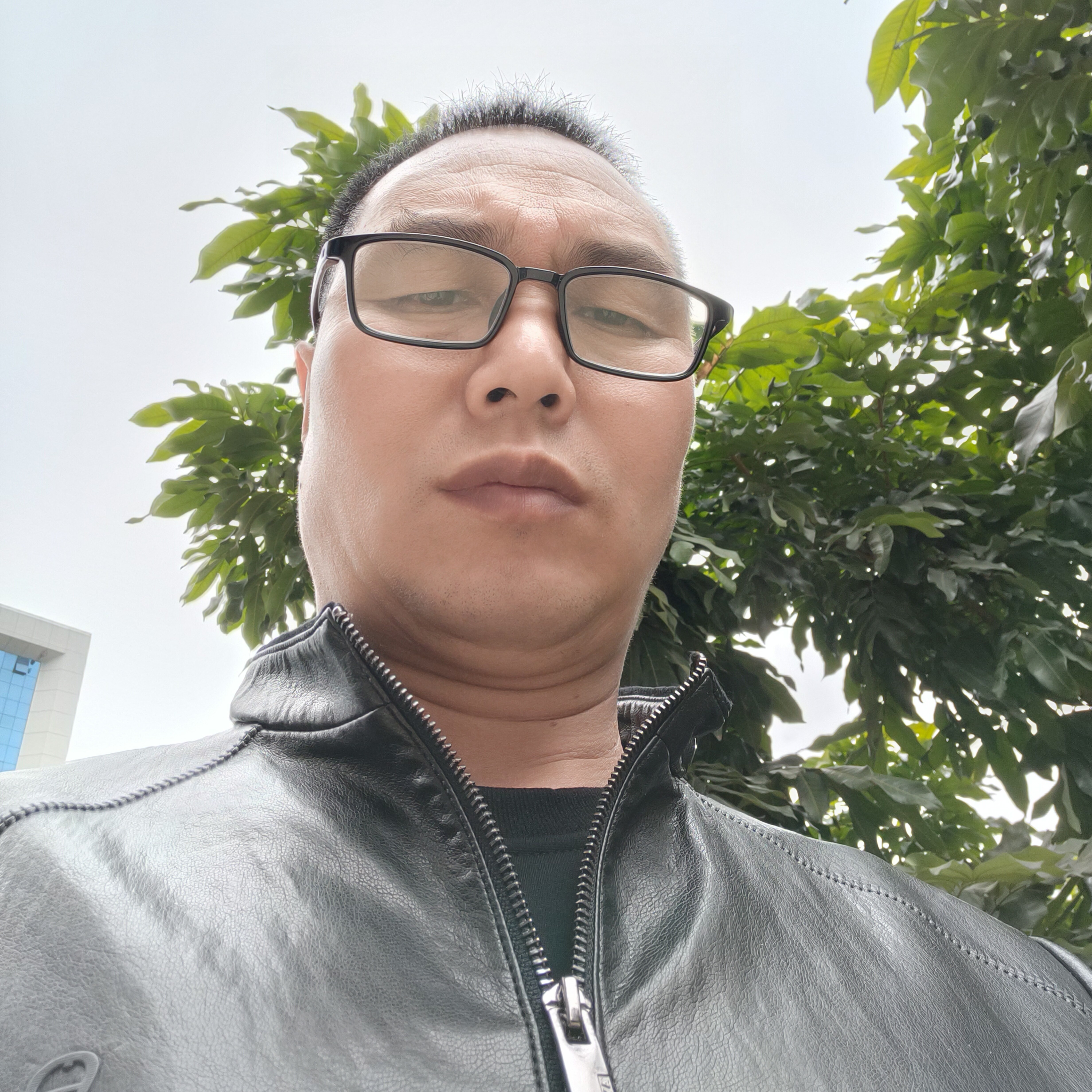 心劫向零碎的照片