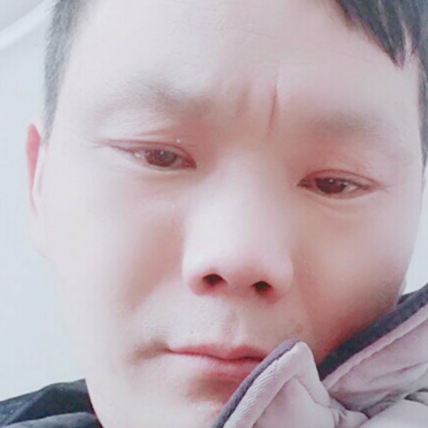 战斗机彩色的照片
