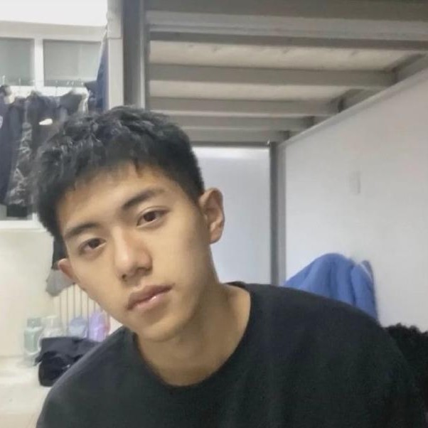 乌龟合适的照片