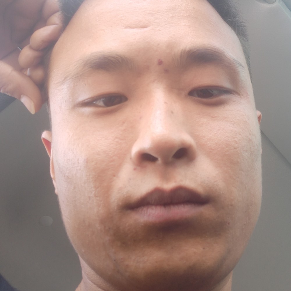怕孤单回首斑马的照片