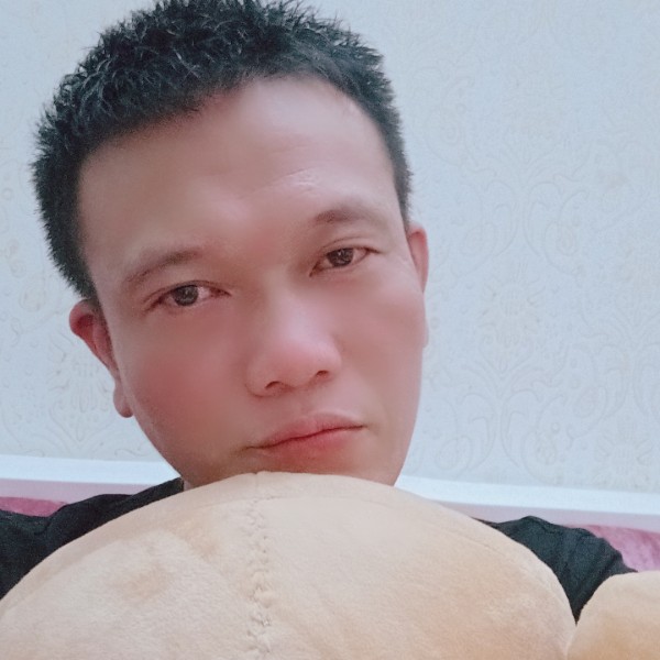 流年的漫步小海豚的照片