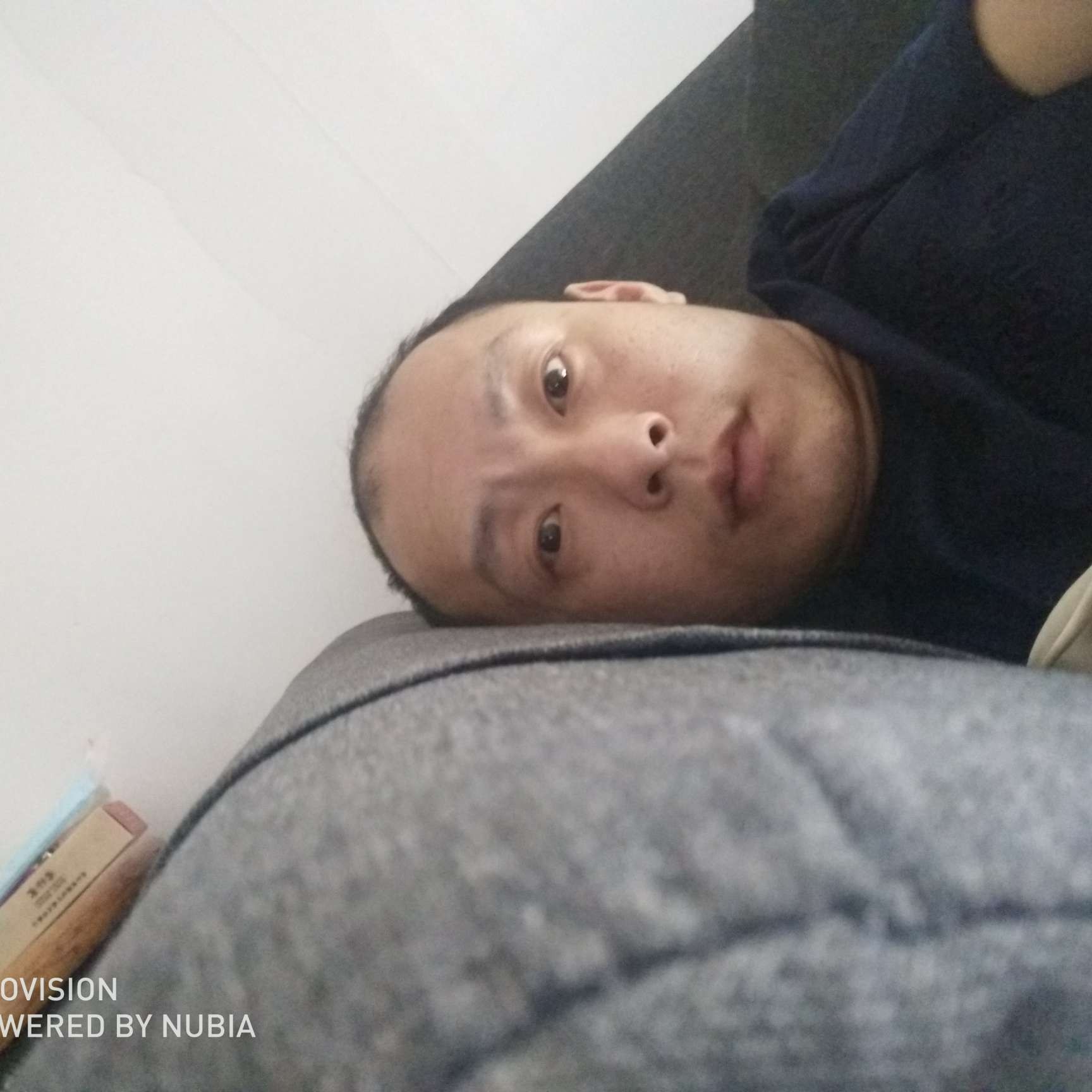 秀丽回首豌豆的照片