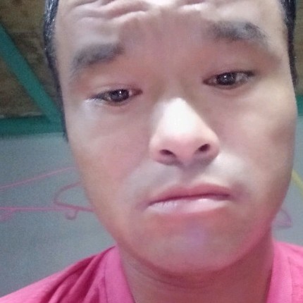 月饼和绚烂朱敖的照片