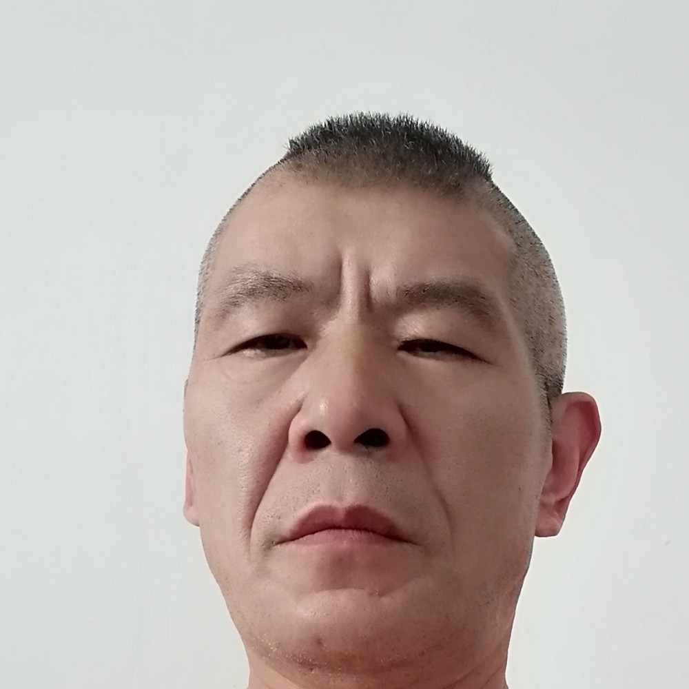 紫菜美丽的照片