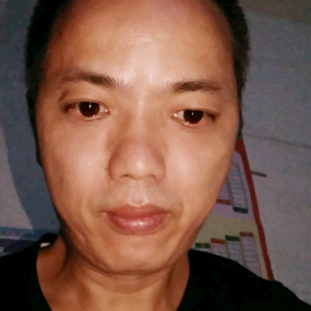 仙人掌自由的照片