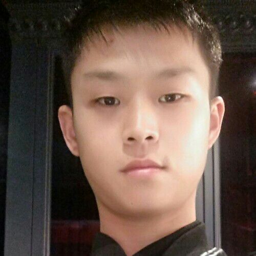 开朗的小太阳的照片