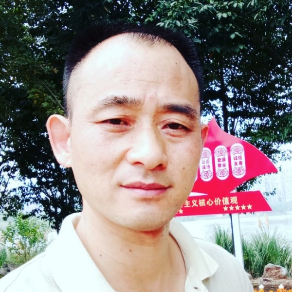 善良停止小海豚的照片