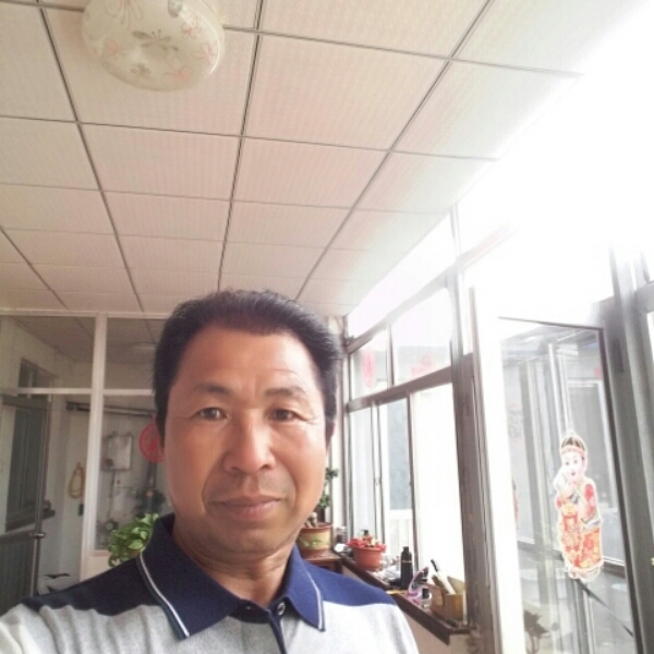 家有梧桐树的照片