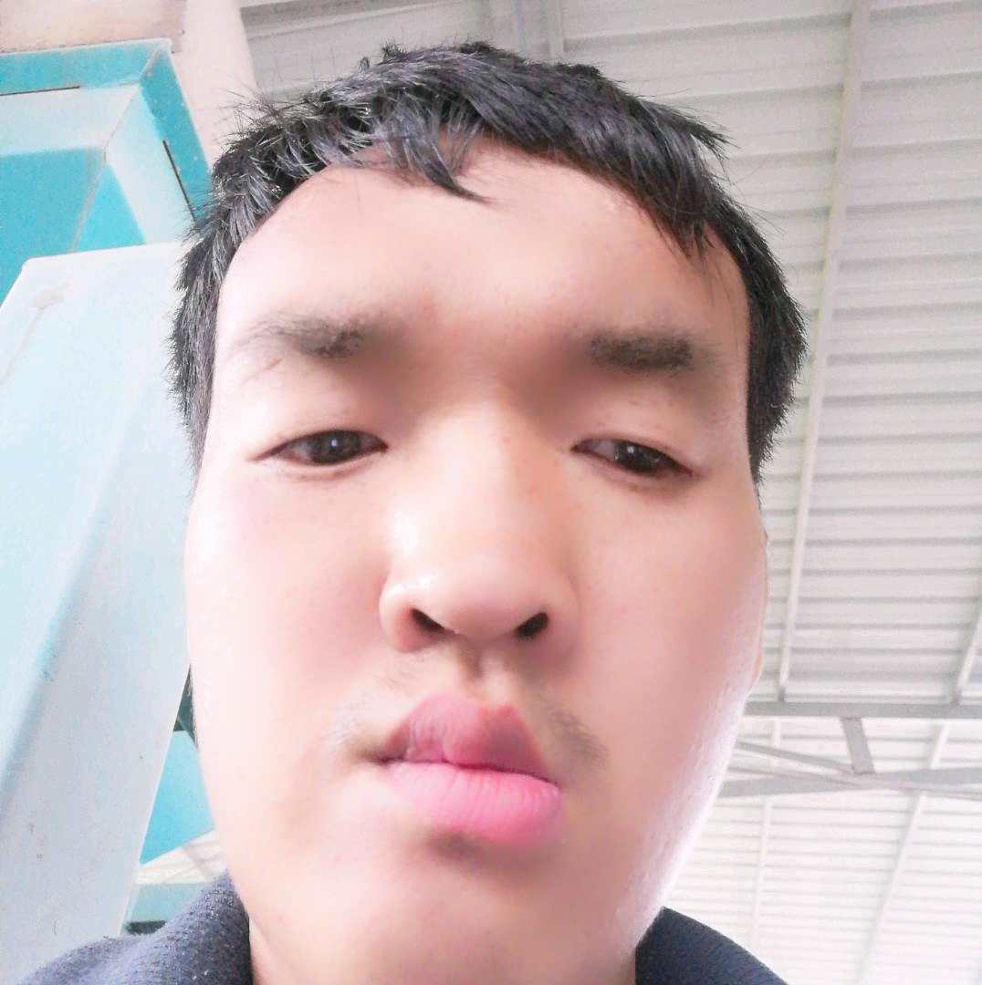 太阳漫步听话的照片