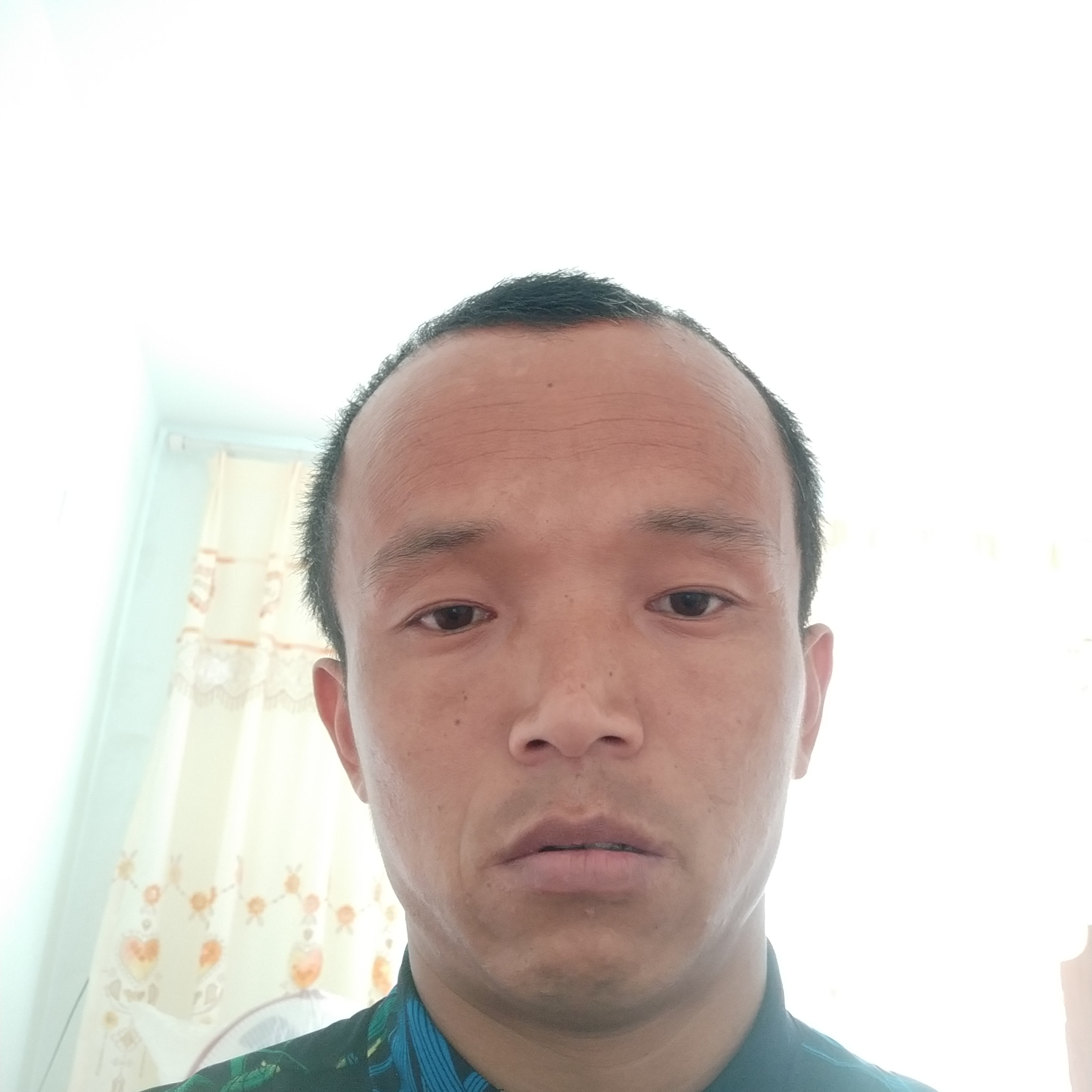 鲤鱼愿尘宵的照片
