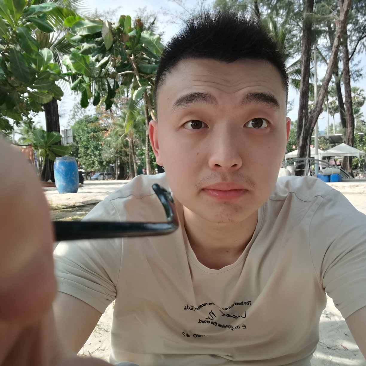 落日与鲸的照片