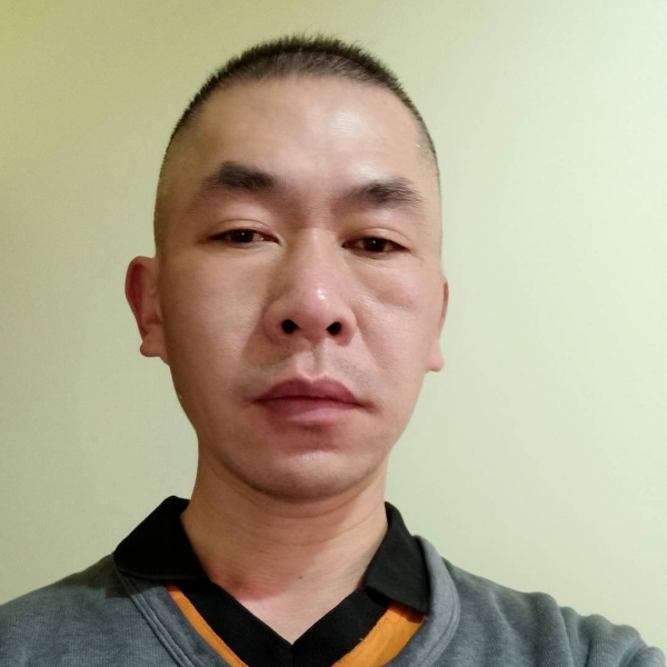 飞天猪的照片