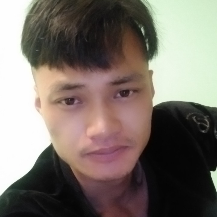 树叶有透彻的照片