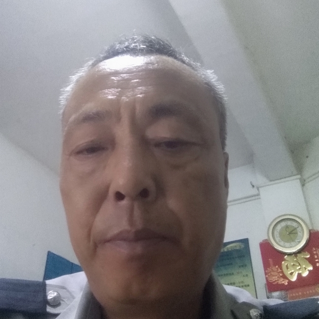北方牛的照片