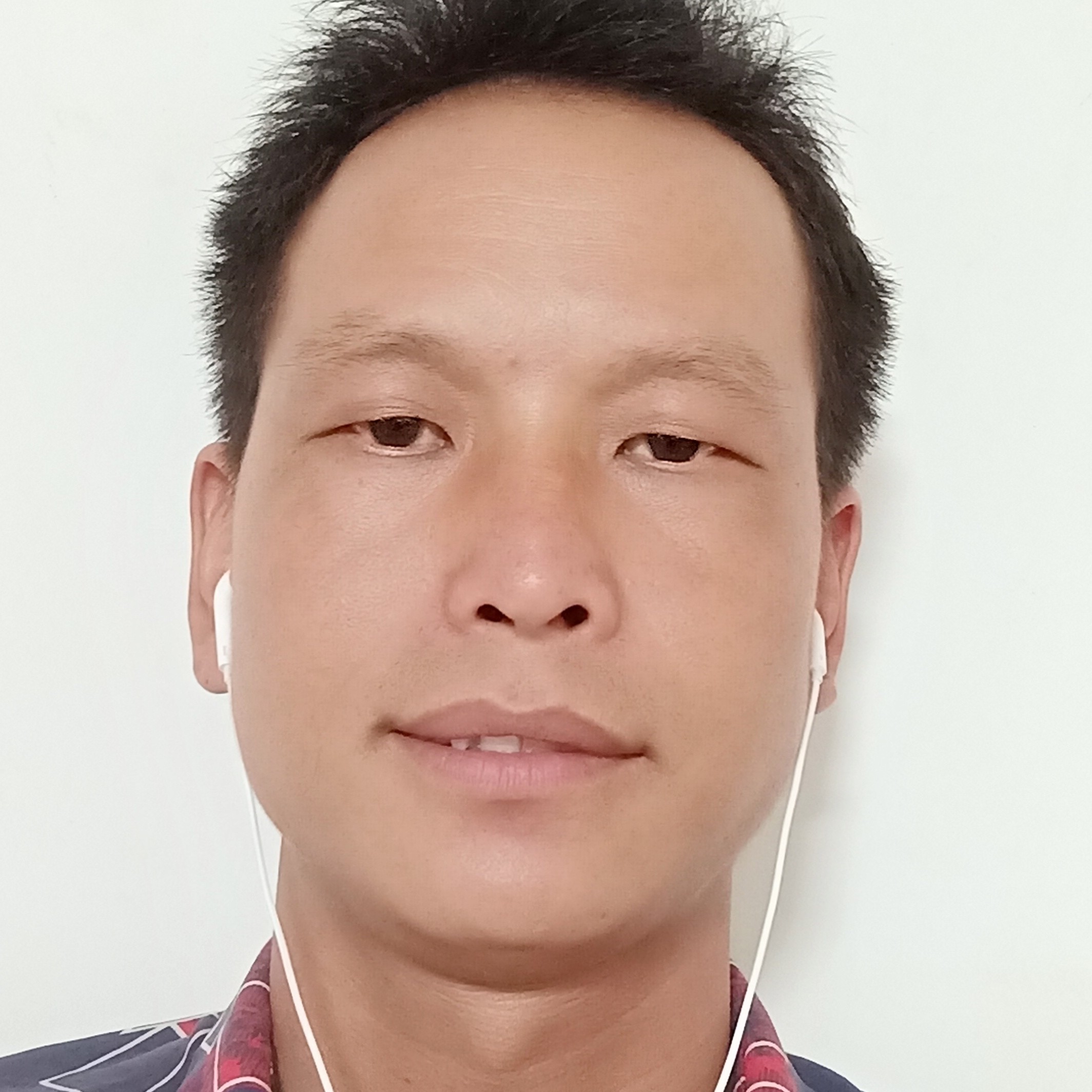 翩飞和玉米的照片
