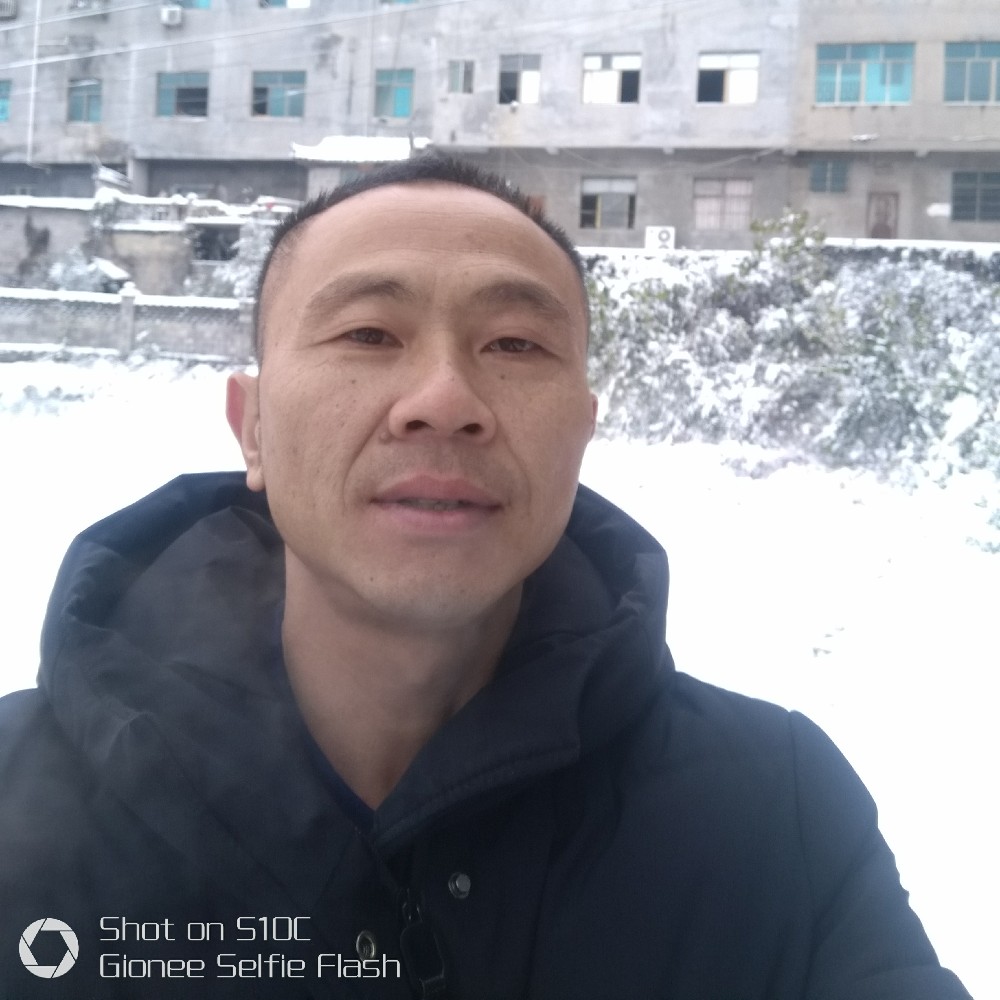 诚心曲奇的照片
