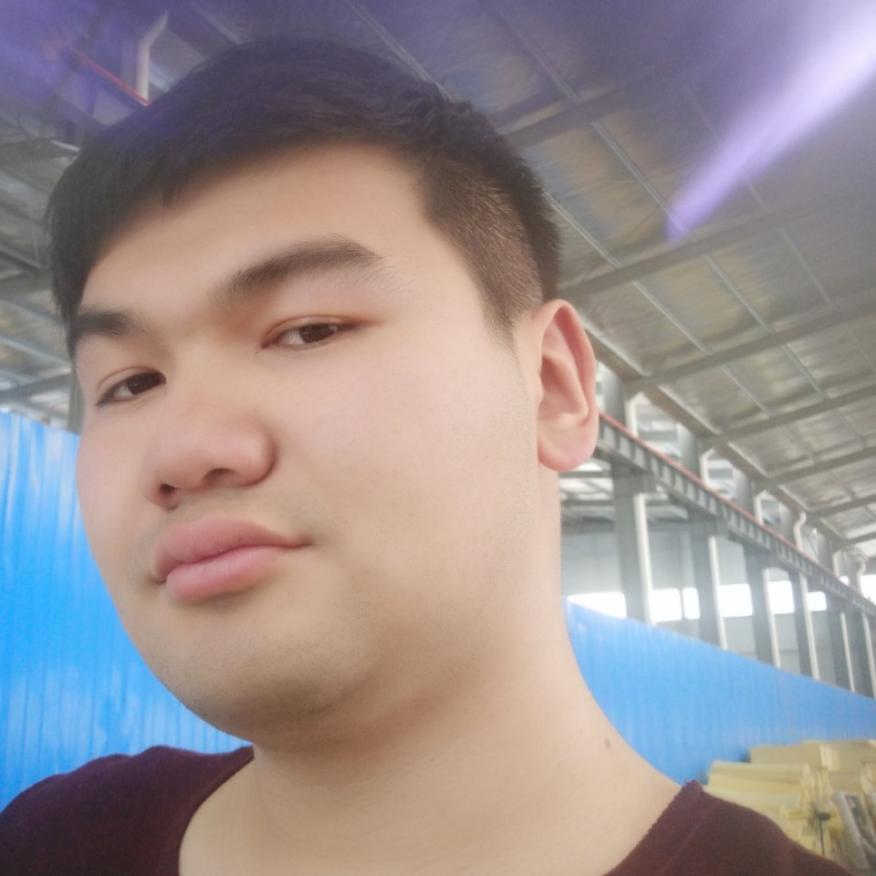 树叶迎落拓的照片
