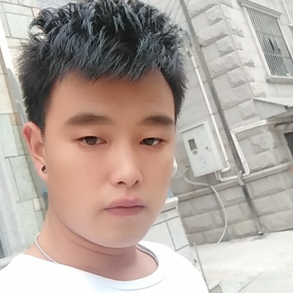 鸵鸟大方的照片