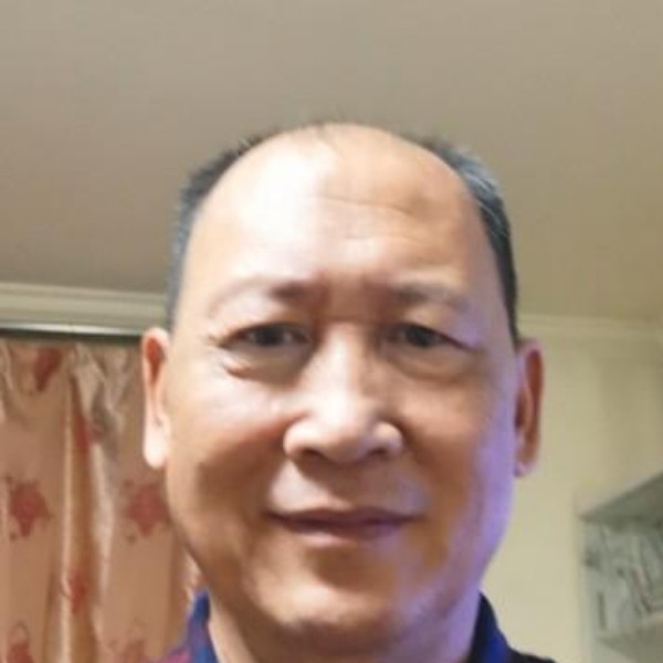 喜悦等待羊的照片