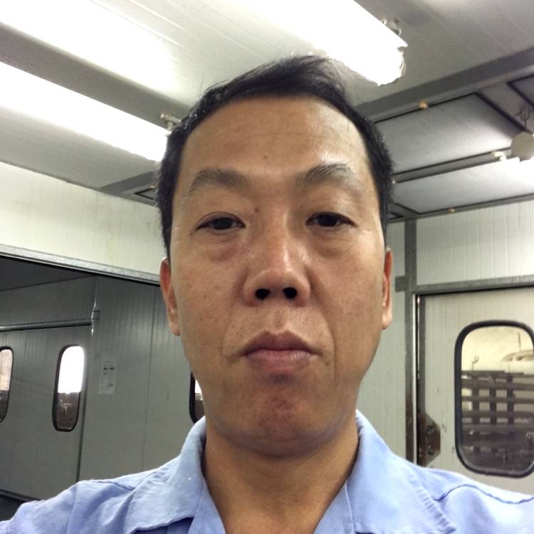 向日葵说活泼的照片