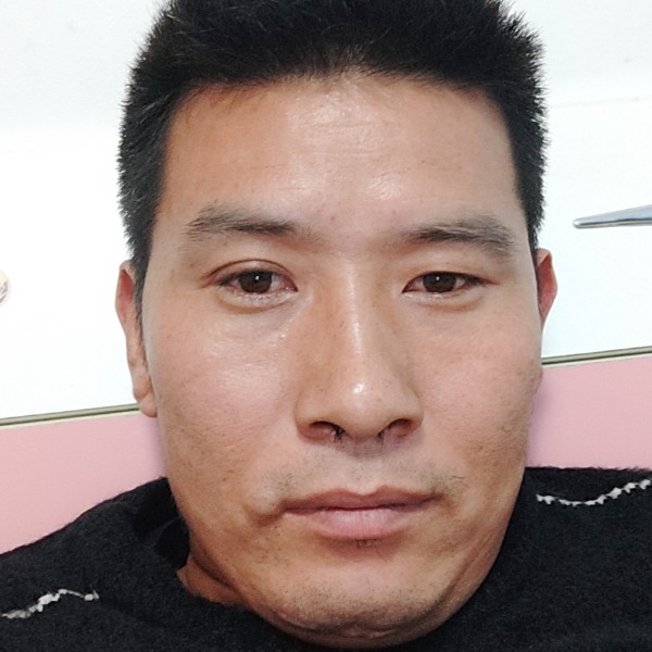 合适吃醋大象的照片