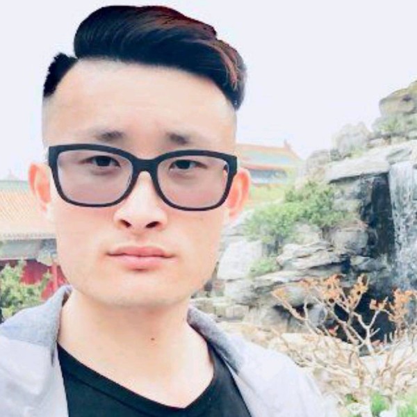 小海豚那彼年的照片
