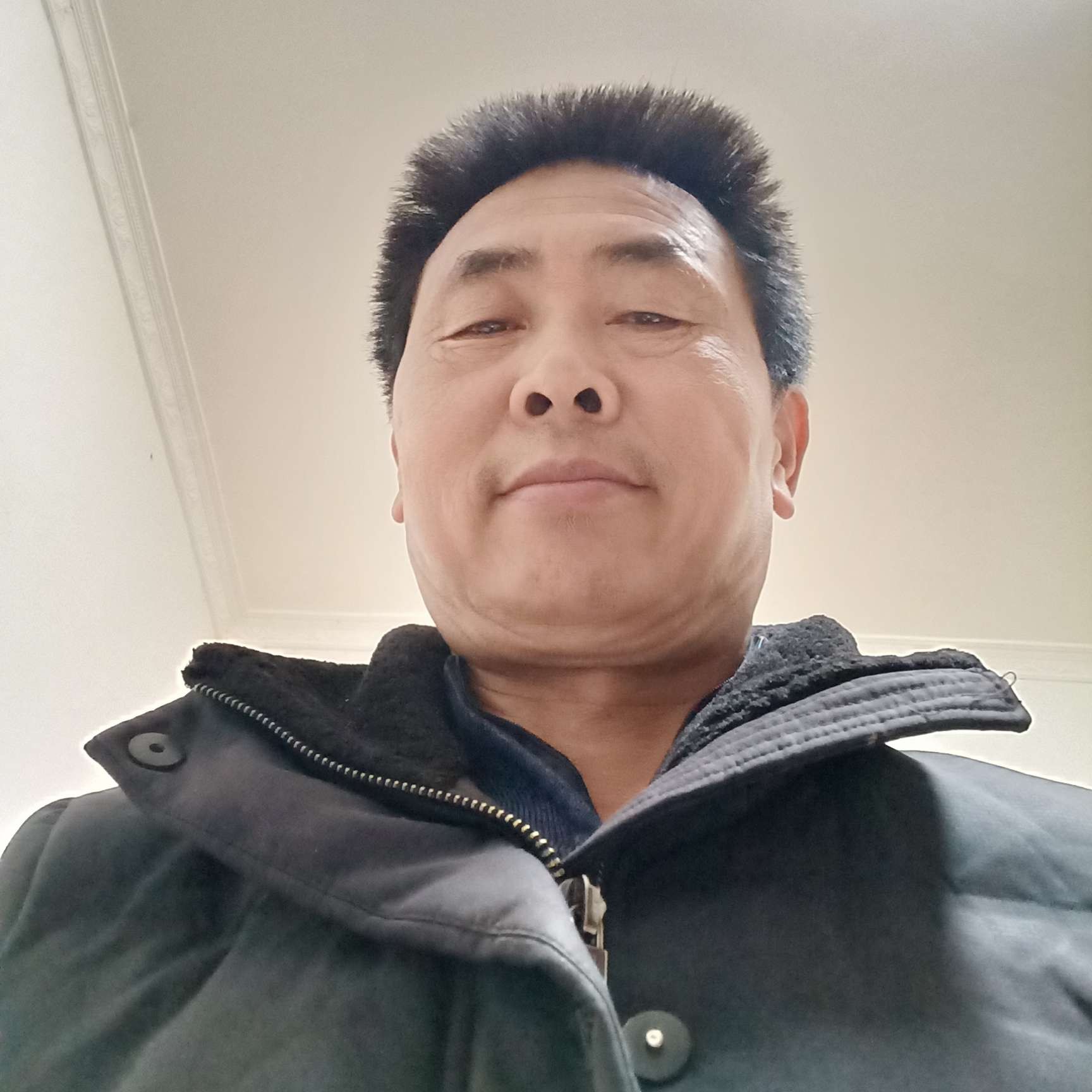 猫咪笑淡然的照片