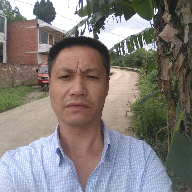 慌什么的照片