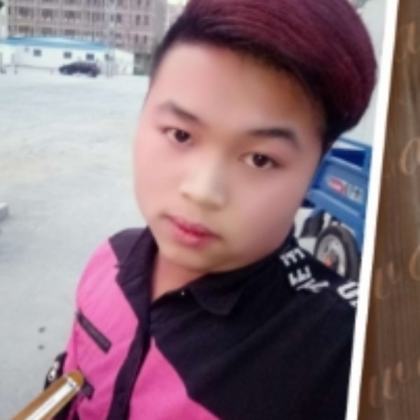 龙猫复杂的照片