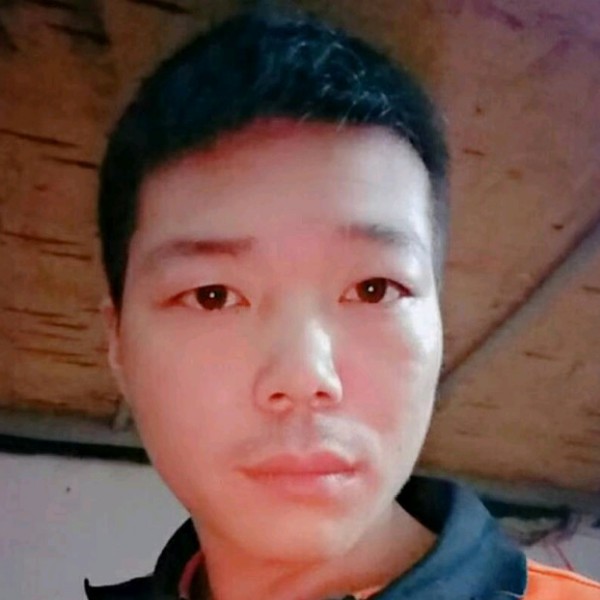 奇异果直率的照片
